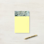 Paperwhite Narcissus Delicate White Flowers Post-it® Notes (Op bureau)