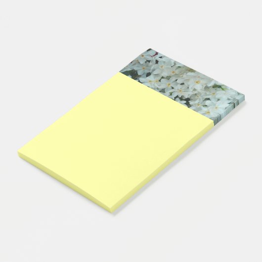 Paperwhite Narcissus Delicate White Flowers Post-it® Notes (Schuin)