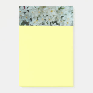 Paperwhite Narcissus Delicate White Flowers Post-it® Notes