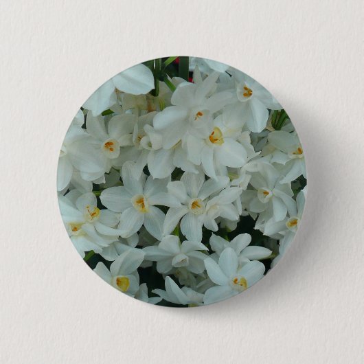 Paperwhite Narcissus Delicate White Flowers Ronde Button 5,7 Cm (Voorkant)