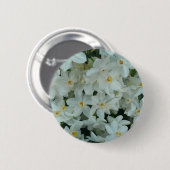 Paperwhite Narcissus Delicate White Flowers Ronde Button 5,7 Cm (Voorkant /achterkant)