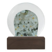 Paperwhite Narcissus Delicate White Flowers Sneeuwbol (Achterkant)