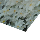 Paperwhite Narcissus Delicate White Flowers Snijplank (Hoek)