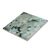 Paperwhite Narcissus Delicate White Flowers Tegeltje (Zijkant)