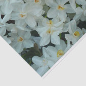 Paperwhite Narcissus Delicate White Flowers Tissuepapier (Detail)