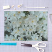 Paperwhite Narcissus Delicate White Flowers Tissuepapier (Craft)