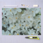 Paperwhite Narcissus Delicate White Flowers Tissuepapier (Craft)