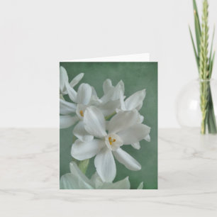 Paperwhite Narcissus Note Kaart