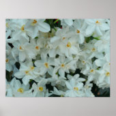 Paperwhite Narcissus Print (Voorkant)