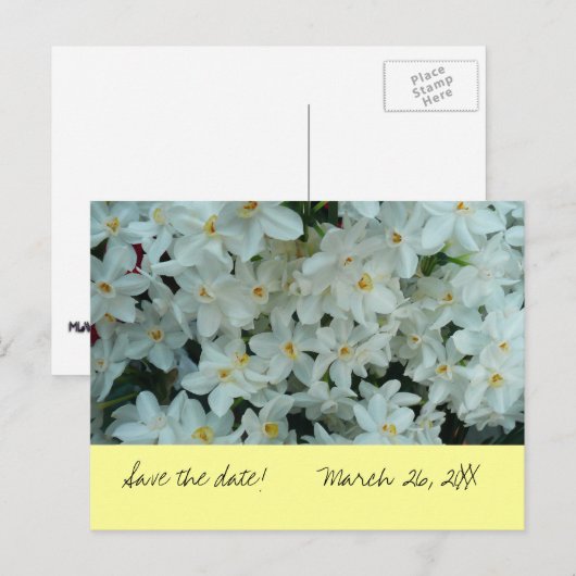 Paperwhite Narcissus "Save the Date" Briefkaart (Voorkant / Achterkant)