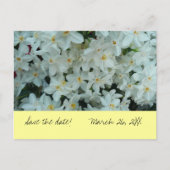Paperwhite Narcissus "Save the Date" Briefkaart (Voorkant)