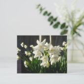 Paperwhites Narcissus Briefkaart (Staand voorkant)