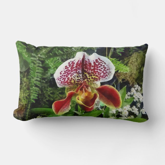 Paph Fiordland Sunset Orchidee Kussen (Voorkant)