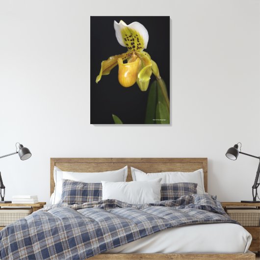 Paphiopedilum Exul Canvas Afdruk (Insitu (Slaapkamer))