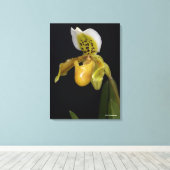 Paphiopedilum Exul Canvas Afdruk (Insitu (Houten vloer))