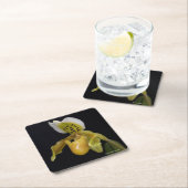 Paphiopedilum Exul Kartonnen Onderzetters (Insitu)