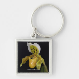 Paphiopedilum Exul Sleutelhanger