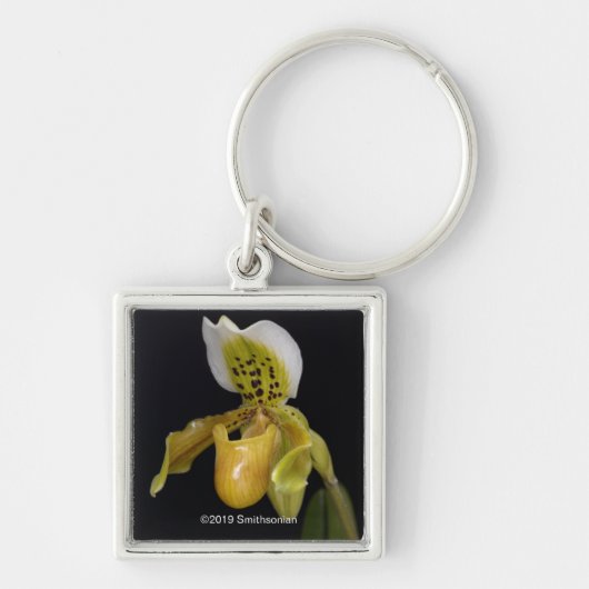 Paphiopedilum Exul Sleutelhanger (Voorkant)
