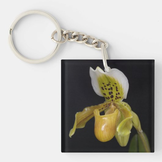 Paphiopedilum Exul Sleutelhanger (Voorkant)