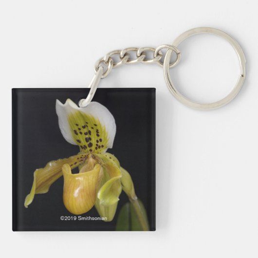 Paphiopedilum Exul Sleutelhanger (Achterkant)