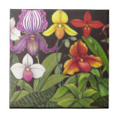 Paphiopedilum Lady Slipper Orchids Tile Tegeltje (Voorkant)