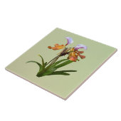 Paphiopedilum Orchids Intertwind Tegeltje (Zijkant)