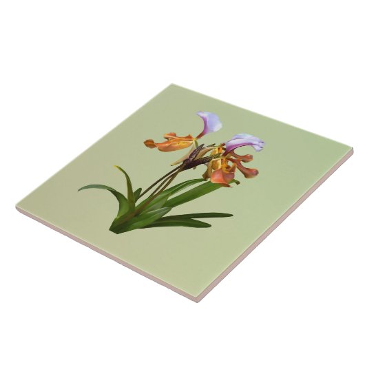 Paphiopedilum Orchids Intertwind Tegeltje (Zijkant)