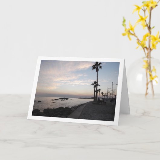 Paphos 's Nachts, Cypriotisch Landschap Kaart (Gele Bloem)