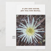 Papier (Voorkant / Achterkant)