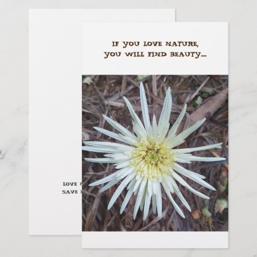 Papier (Voorkant / Achterkant)