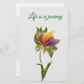 Papier (Voorkant / Achterkant)