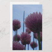 Papier - bieslook Afbeelding 1 (Voorkant / Achterkant)