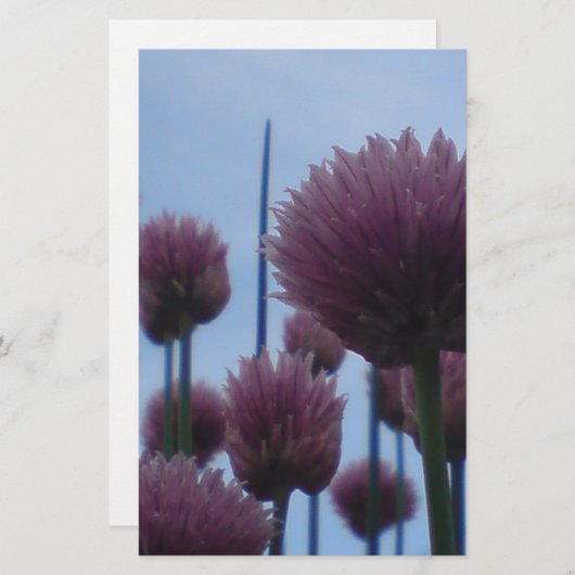 Papier - bieslook Afbeelding 1 (Voorkant / Achterkant)