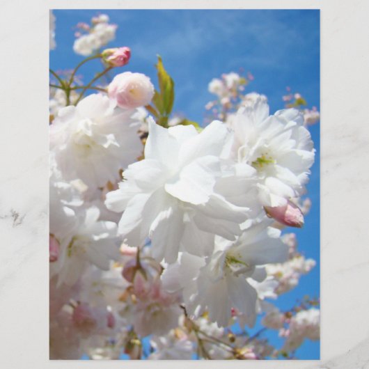 Papier Blauwe hemelbloemen Flyer (Voorkant)