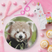 Papier bord foto rode panda. Panda roux. Dieren. (Feest)