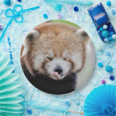 Papier bord foto rode panda. Panda roux. Dieren. (Feest)