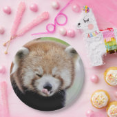 Papier bord foto rode panda. Panda roux. Dieren. (Feest)