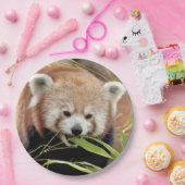 Papier bord foto rode panda. Panda roux. Dieren. (Feest)