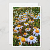 Papier Daisies Blank Kaart (Voorkant / Achterkant)