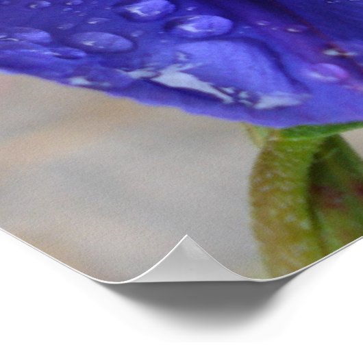 Papier en artikelen poster (Hoek)