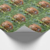 Papier gember cavia's op maat maken (Hoek)