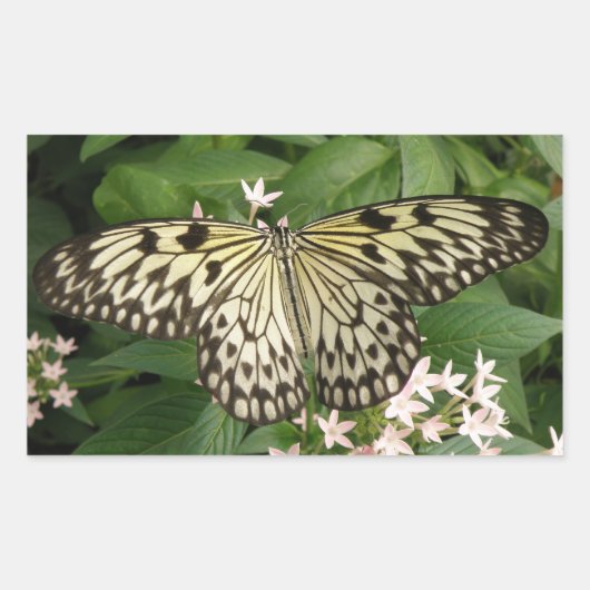 Papier met butterfly-stickers rechthoekige sticker (Voorkant)