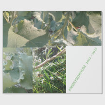 Papier met onmiddellijke verpakking/MMETROPOLIMdes