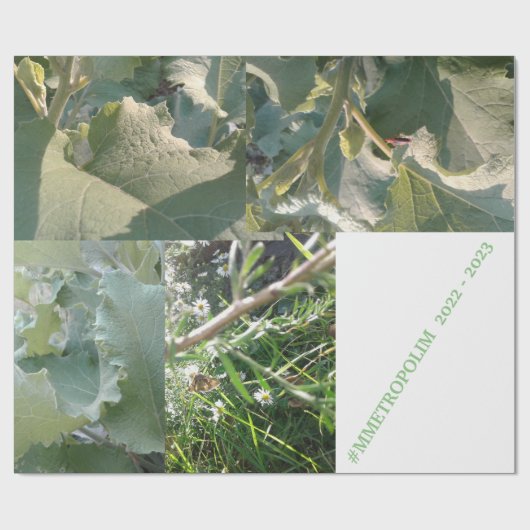 Papier met onmiddellijke verpakking/MMETROPOLIMdes (Vlak)