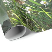 Papier met onmiddellijke verpakking/MMETROPOLIMdes (Rol Hoek)