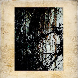 Papier met standaardmansieschraft