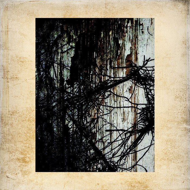 Papier met standaardmansieschraft (Creator heeft geüpload)