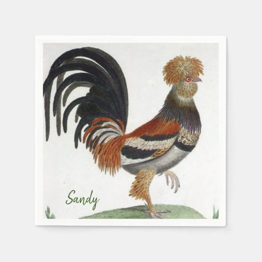 Papier Napkins, Franse vogel Servet (Voorkant)