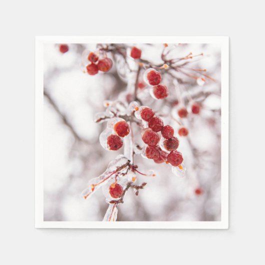 Papier Napkins Servet (Voorkant)