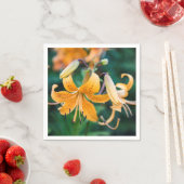 Papier Napkins Servet (Insitu)